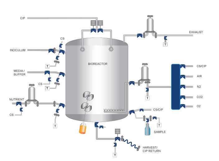Bioreactor / Fermentor / Mixer