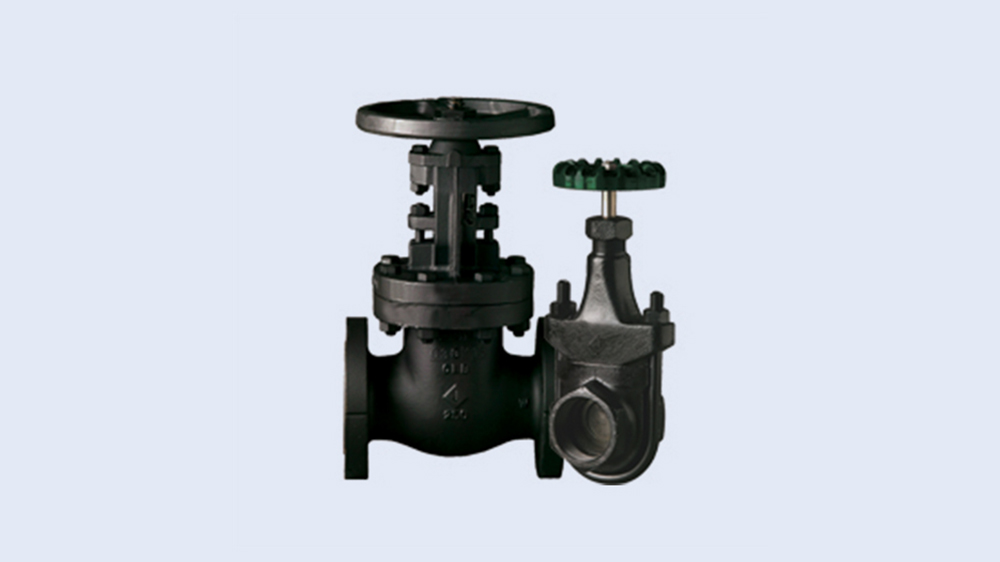 Product picture for JENKINS® Iron Valves