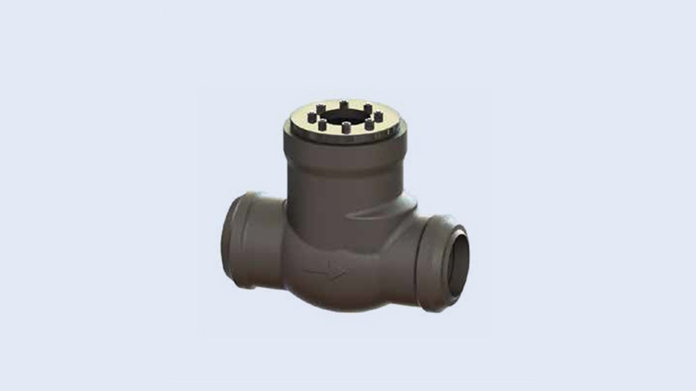 Product picture for PACIFIC® Pressure Seal Swing Check Valves