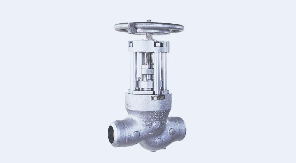 angle globe valve