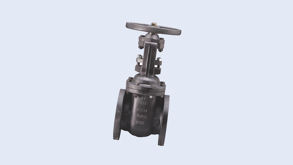 Product picture for STOCKHAM® Iron Valves